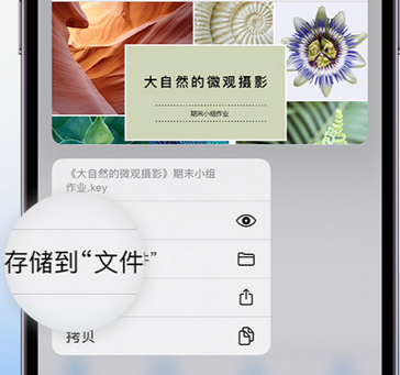 沈北apple维修中心分享iPhone文件应用中存储和找到下载文件