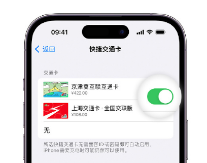 沈北apple维修点分享iPhone上更换Apple Pay快捷交通卡手绘卡面 