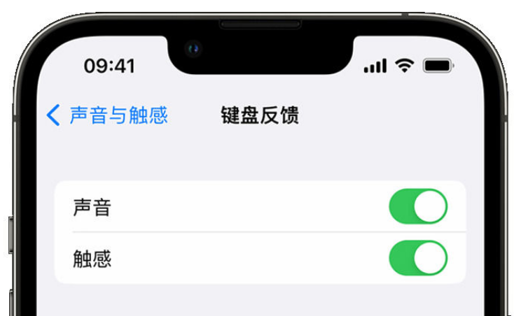 沈北苹果手机维修分享iPhone 14触感键盘使用方法 