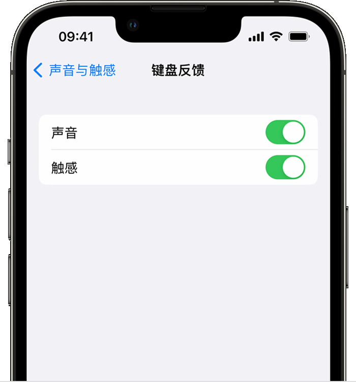 沈北苹果14维修店分享如何在 iPhone 14 机型中使用触感键盘 