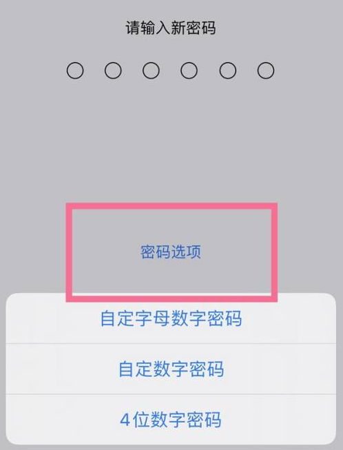 沈北苹果14维修分享iPhone 14plus设置密码的方法 