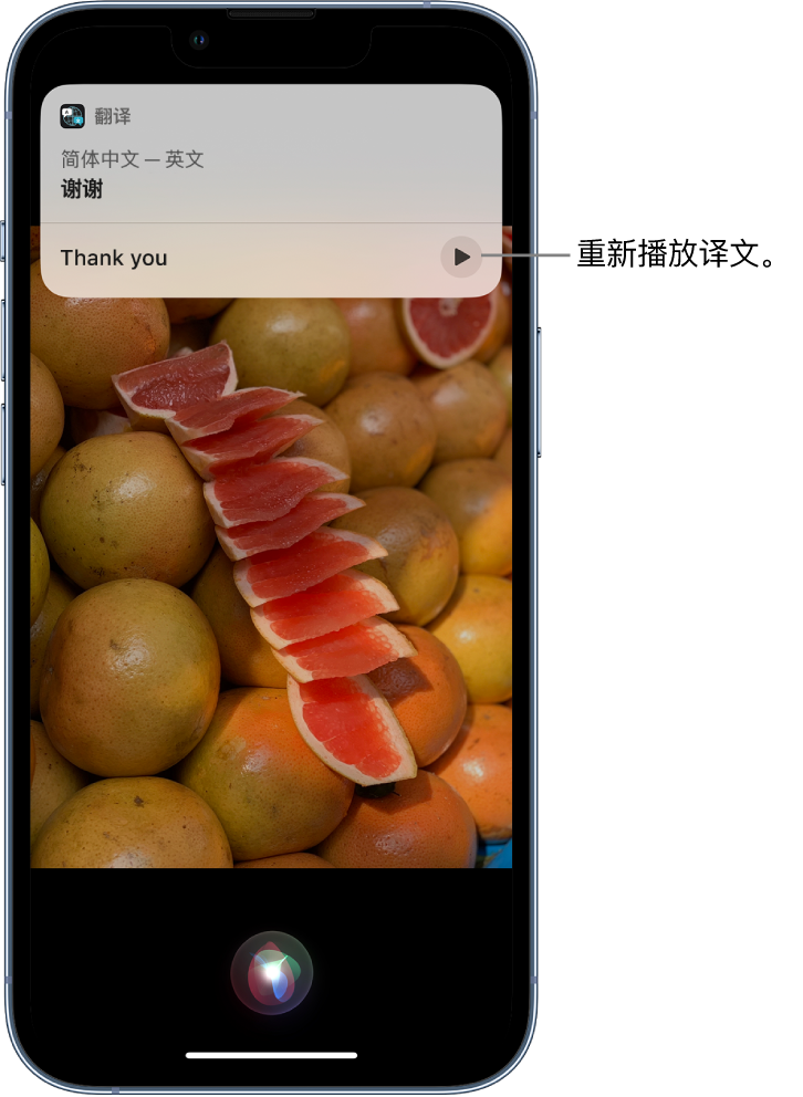 沈北苹果14维修分享 iPhone 14 机型中使用 Siri：了解 Siri 能帮你做什么 