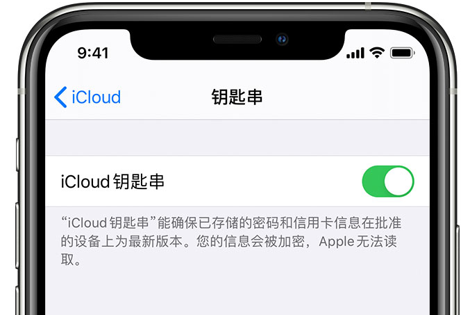 沈北苹果手机维修分享在 iPhone 上开启 iCloud 钥匙串之后会储存哪些信息 