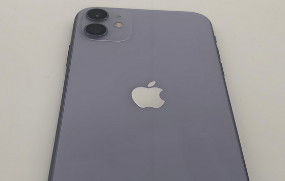 沈北苹果11系统维修分享iPhone11手机系统崩溃无法开机如何解决